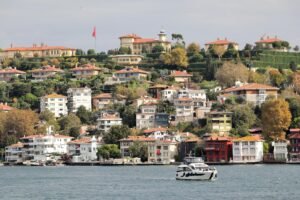 pexels-alankrantas-31567474